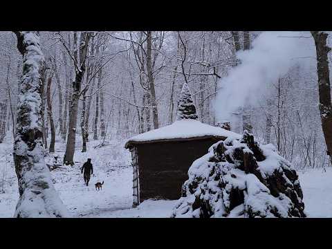 Together with my dog, we built the most epic forest house ever created!
