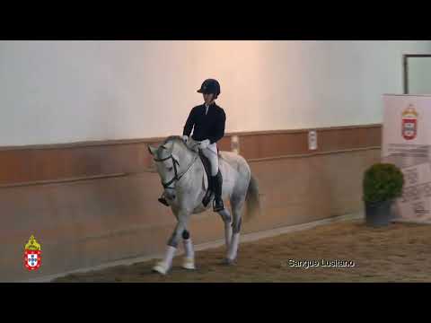 5 Oriental da Caniceira por Teresa Barbosa