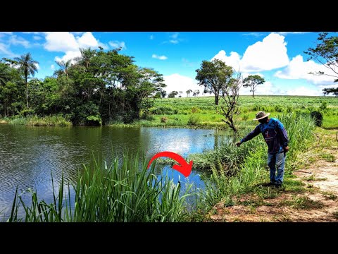 I RAN TO RECORD IT BECAUSE NOBODY WOULD BELIEVE SHE CAME SO CLOSE /BANK FISHING.