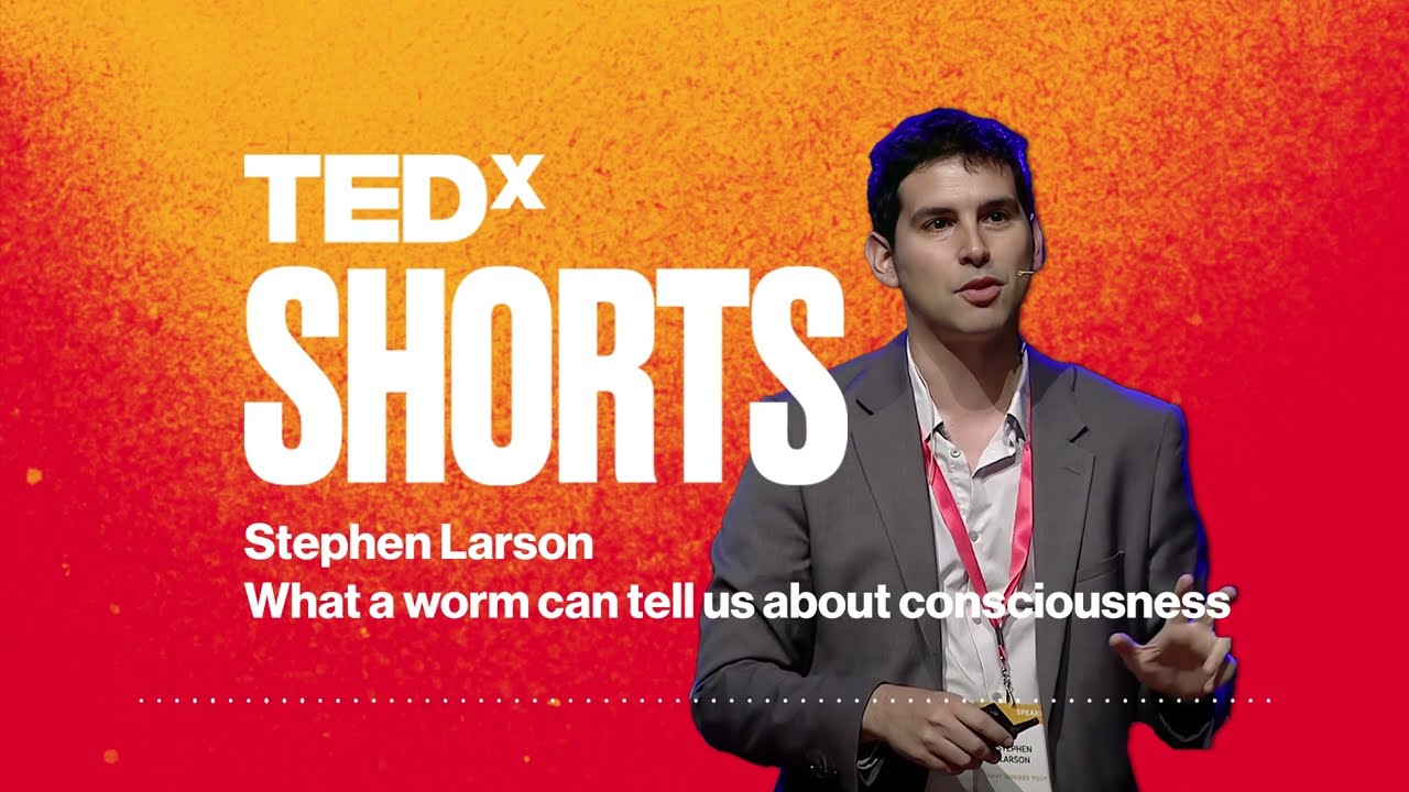 What a worm can tell us about consciousness | Stephen Larson | TEDxBangalore
