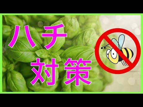これらの植物はスズメバチを撃退します 自然と動物