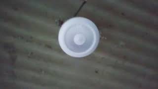 Mini XQG ceiling fan