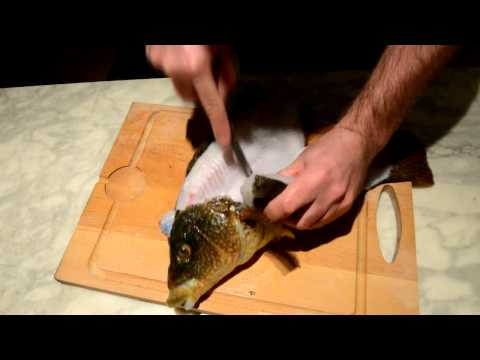download lagu mp3 mp4 Poisson Une Vieille, download lagu Poisson Une Vieille gratis, unduh video klip Poisson Une Vieille