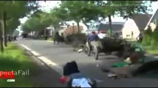 CABALLOS TRAVIESOS