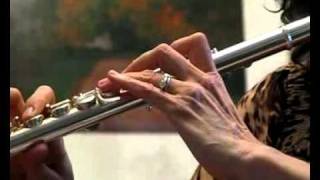 Video thumbnail for Yamaha 361 Intermediate Used Open-Hole Flute w/ Silver Headjoint by Flutastic!