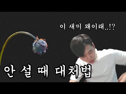 아이콘