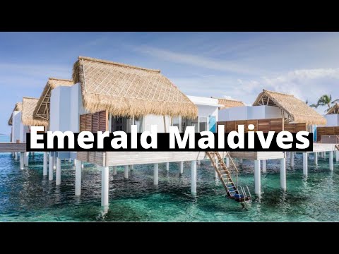 Videos del Emerald Maldives Resort  Spa 5★ en Raa Atoll, MaldivasVer MásVerPrecios19CerrarConsulta por Whatsapp 🇦🇷BookingTripadvisorExpediaAgodaTravelocityOrbitzTripSkyscannerDespegarKayakHotelesBestdayDestiniaTrivagoTurismocityLastminuteHotwireTuiWotif