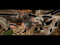 Ratatouille Teaser Trailer 1 In G Major 4