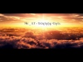 Mc / LT - AMPERIC VEREV 