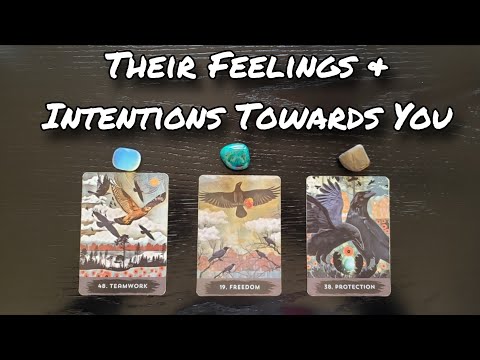 💞💘 Their Feelings & Intentions 💞🌙 Pick A Card Love Reading 