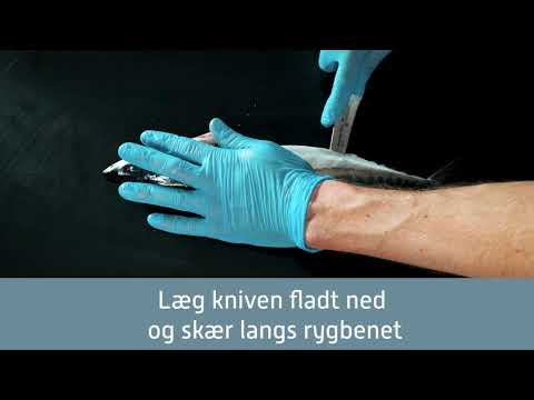 Sådan fileterer og klargør du en hel makrel