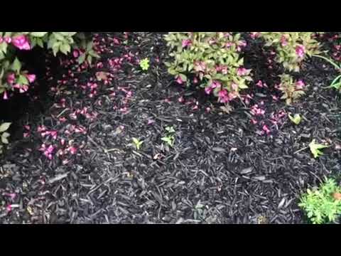 Moles Trick Homeowner in Middletown, NJ