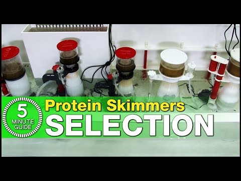 Which size of protein skimmer do you need? How to choose the right skimmer for your saltwater tank!