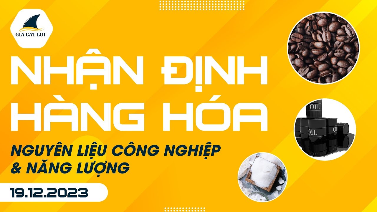 Nhận Định Hàng Hoá Năng Lượng & Nguyên Liệu Công Nghiệp 19/12/2023