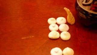 My Beautiful Rescue - This Providence