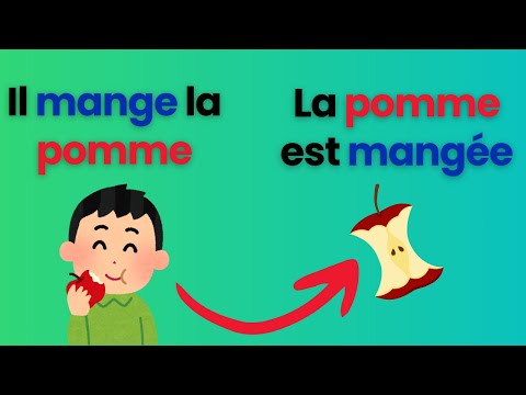 SUBJONCTIF to Express Your Opinion Full Guide Extract