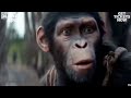 Monkey Kingdom Movie Clip Hindi Dubbing 2024