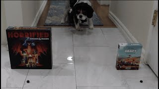 Hungry Gamer - Liberation video thumbnail