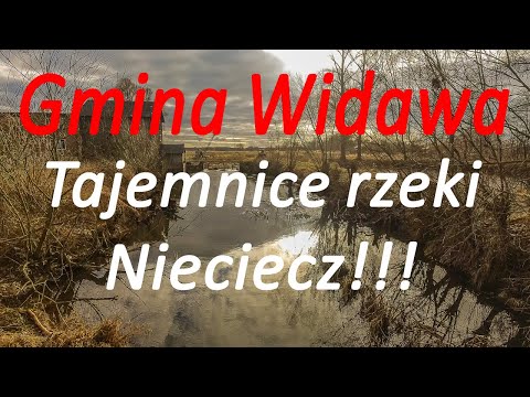 Gmina Widawa - spacer brzegami rzeki Nieciecz.