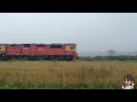 N CLASS LOCO PACING V/LINE