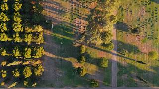 Cinematic Bird's Eye View Drone Footage | Video by Southwest Drone Tech