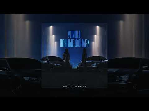 WELLVIZY, ПОЛИКАРПОВ - Улицы, ночные фонари