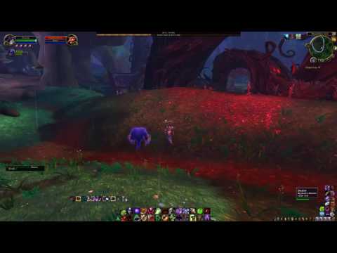 Affliction Warlock or Destruction Warlock. I have no clue what I am doing.