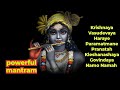 Krishnaya Vasudevaya Haraye Paramatmane Mantram