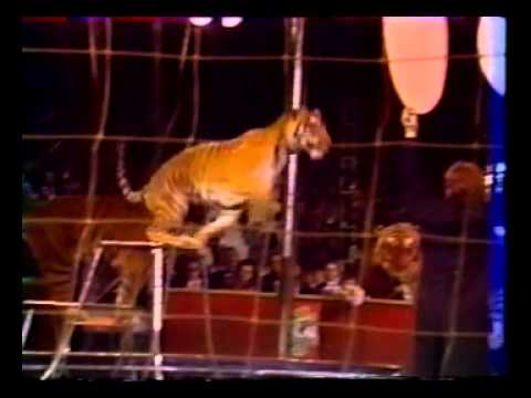 15 international circus fest. Monaco 1990