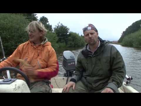 Catfish tour in Friesland with Matze Koch + professional tips from Stefan Seuß