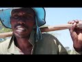 MDAWINI IZINGONYAMA SOUNDS Funda Kwezakho Official Video Contact 27 65 534 2492