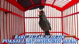 Download lagu POKSAY MANDARIN GACOR banyak VARIASI suara AMPUH UNTUK PANCINGAN POKSAY MANDARIN malas bunyi mp3 Download lagu POKSAY MANDARIN GACOR banyak VARIASI suara AMPUH UNTUK PANCINGAN POKSAY MANDARIN malas bunyi mp3