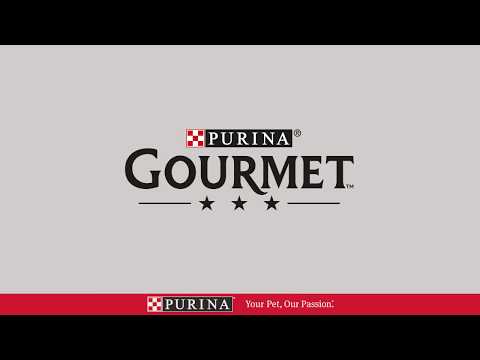 Carola Wetterholm - Purina soup tasting