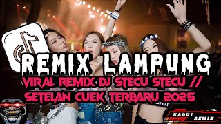 Download lagu Remix Lampung Viral 🔥// remix dj Stecu Stecu // Setelan Cuek Terbaru 2025 bikin panas🔥🔥 mp3
