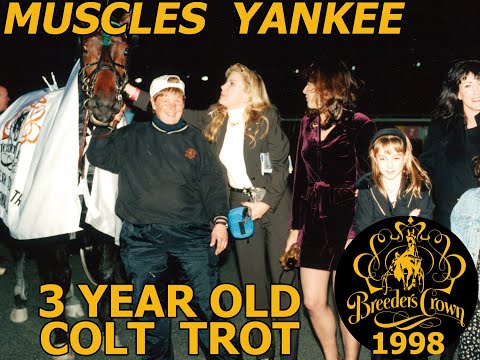 1998 Breeders Crown 3YO C&G Trot Final Colonial Downs : Muscles Yankee (1:53:0)