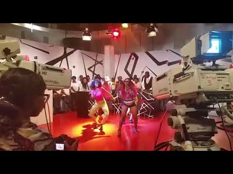 Dama pink ft Família  3D