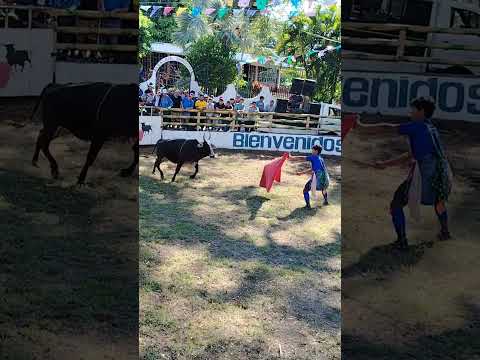 Toreo En San Luis Del Carmen
