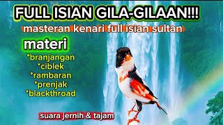 Download lagu FULL ISIAN GILA-GILAAN!!! masteran kenari full isian super mewah terbaru mp3 Download lagu FULL ISIAN GILA-GILAAN!!! masteran kenari full isian super mewah terbaru mp3