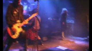 negative - live LA feeding fire and backstage (helldone) (dvd)