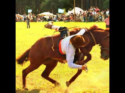 Entre la Yapa y la Argolla