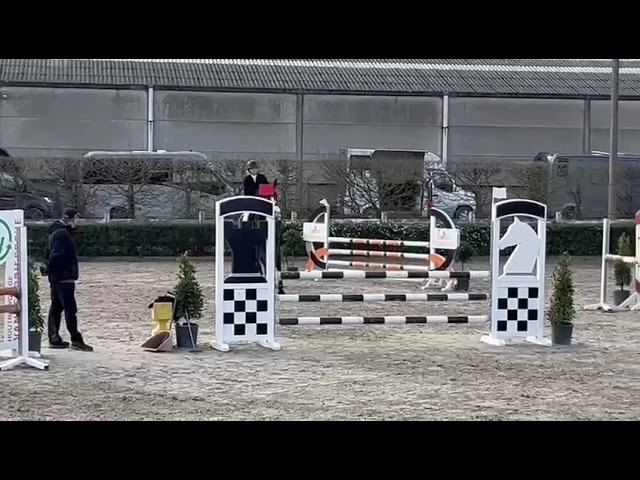 Small show class movie Sunshine vam de Kusthoeve (Untouchable x Saros van’t Gestelhof).