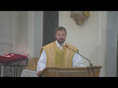 Heilige Messe am Hochfest Fronleichnam, Rektor P. Markus M. Seidler CP