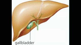 Gallbladder Song