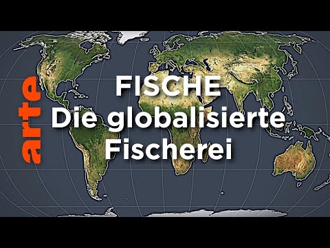 Vorschaubild Video