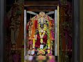 Varahi Amman Varahiammanmiracles Varahi Varahidevi Divine Love