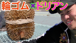 大量の輪ゴムでドリアンは割れるのか!?
