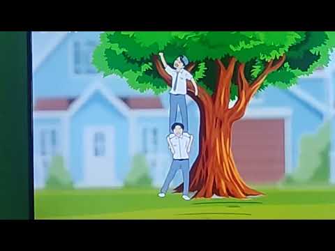 tutorial nyolong mangga