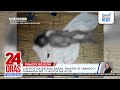 3 Anyos Na Batang Babae Pinatay At Umano Y Ginahasa Ng 17 Anyos Na Kuya 24 Oras Weekend