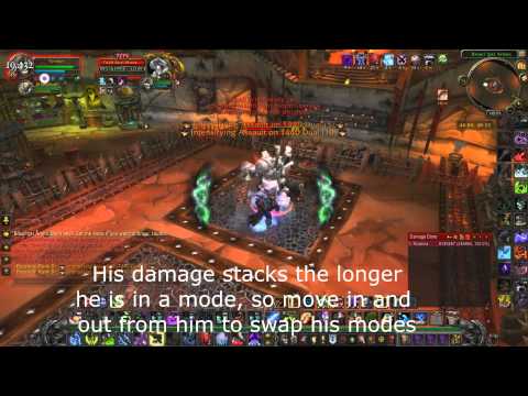 Brawler's Guild Rank 8 fights after Hexos