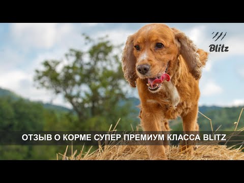 Предложения Blitz питомникам: сухой корм «Блиц» для питомников собак и ...